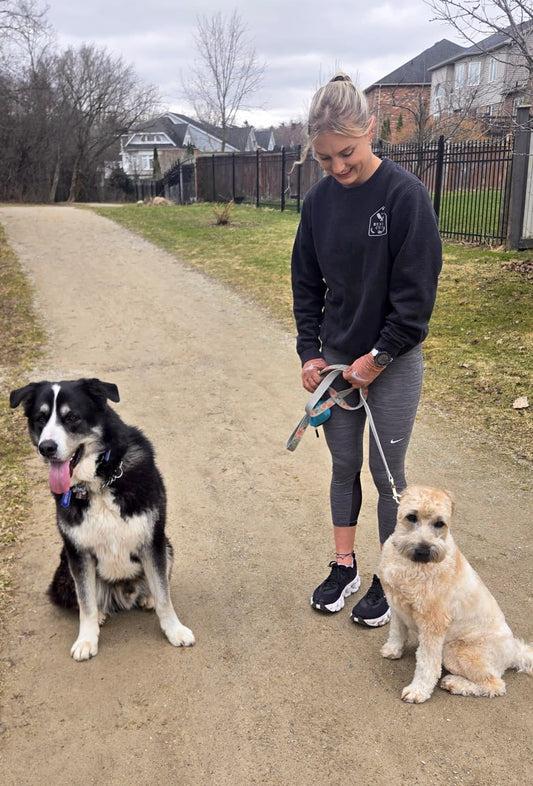 Dog Runner 30 Minute Run